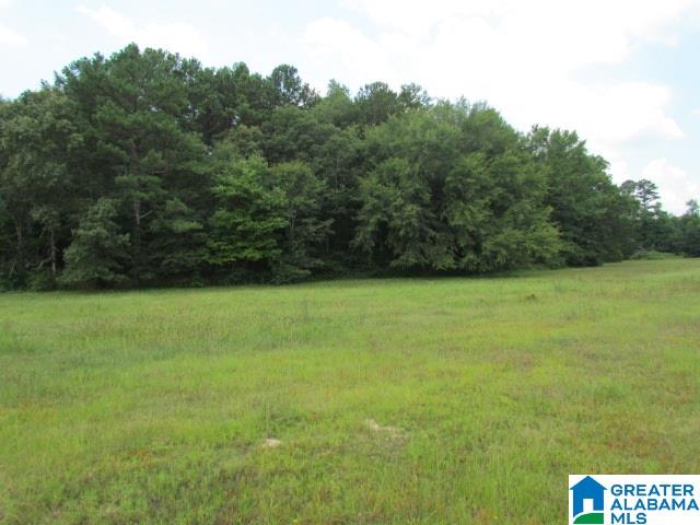 0 Old Springville Road Odenville, AL 35120 - Photo 3 of 4