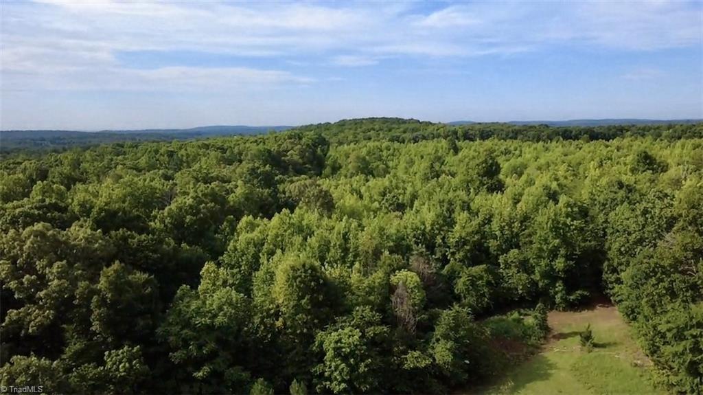 0 Farmer Road Denton, NC 27239 - Photo 10 of 19