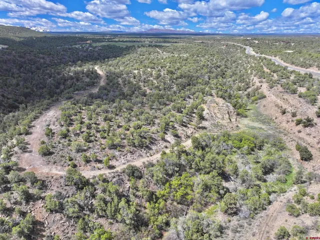 a view of a lake from a yard