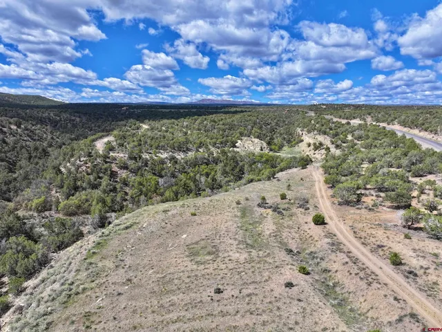 a view of a yard with wooden fence