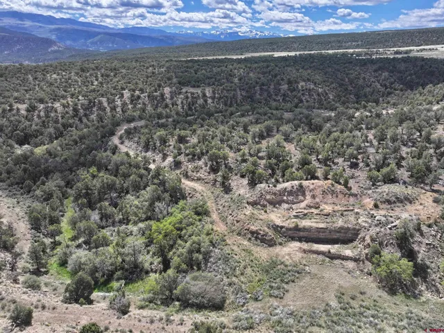 a view of a dry yard