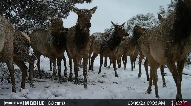 a view of a backyard of the house