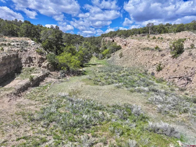a view of a dry yard with mountains in the background