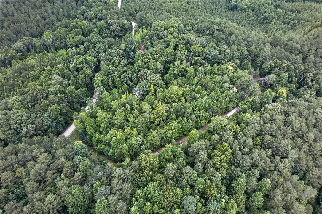 130 Maggie Rufus Lane Westminster, SC 29693 - Photo 50 of 50 Winding pathways carve through this vast, tree-filled landscape, offering serene views and private access.
