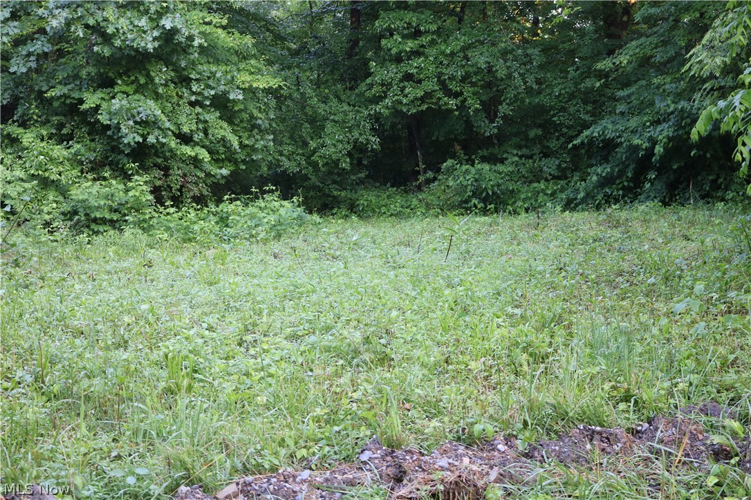 Ymca Road Tippecanoe, OH 44699 - Photo 1 of 15 Gallery Image 1