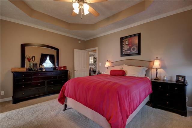 3580 Rabbit Run Trail Adams, TN 37010 - Photo 11 of 20 Plenty of room in the master bedroom, trey ceiling with ceiling fan. Large walk-in custom designed closet has great use of space and is accessed from the master bath.