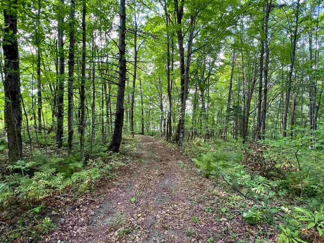 $170,000 | 0 Danville Hill Road, Cabot, VT 05647