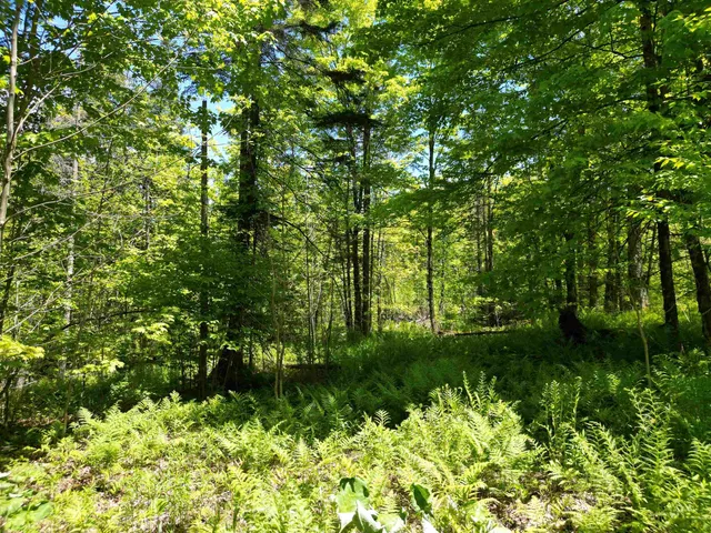 $170,000 | 0 Danville Hill Road, Cabot, VT 05647