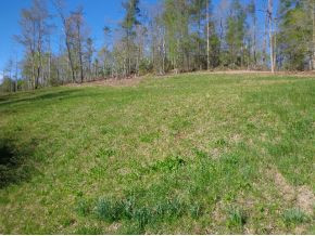 550 Loyd Wilson Road Butler, TN 37640 - Photo 1 of 4 Photo 1