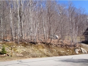 28 Flume Road Lincoln, NH 03251 - Photo 2 of 4 Gallery Image 2