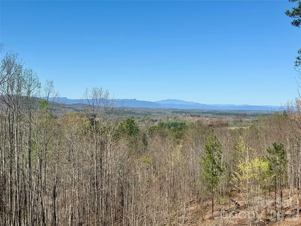 a view of a with large trees