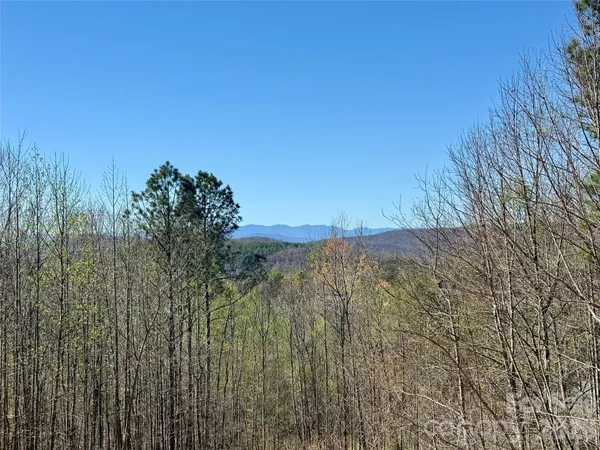 a view of a dry yard