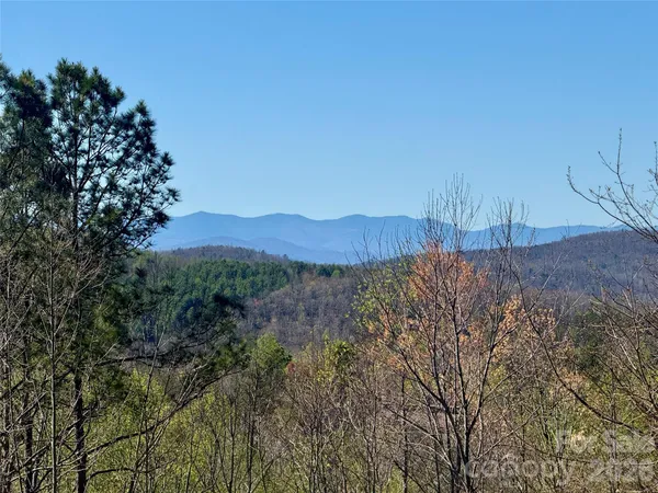 a view of a dry yard with wooden fence