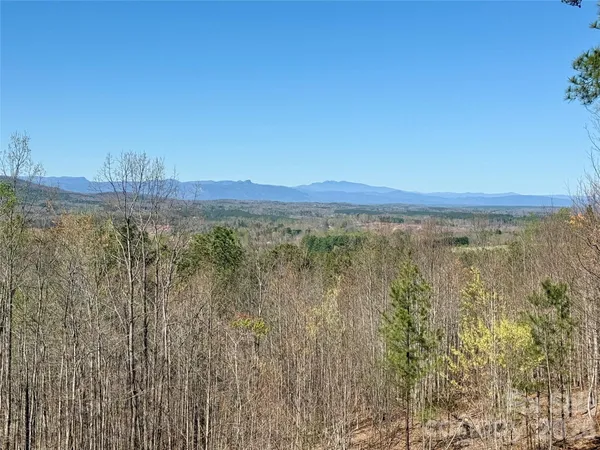 a view of lake and mountain