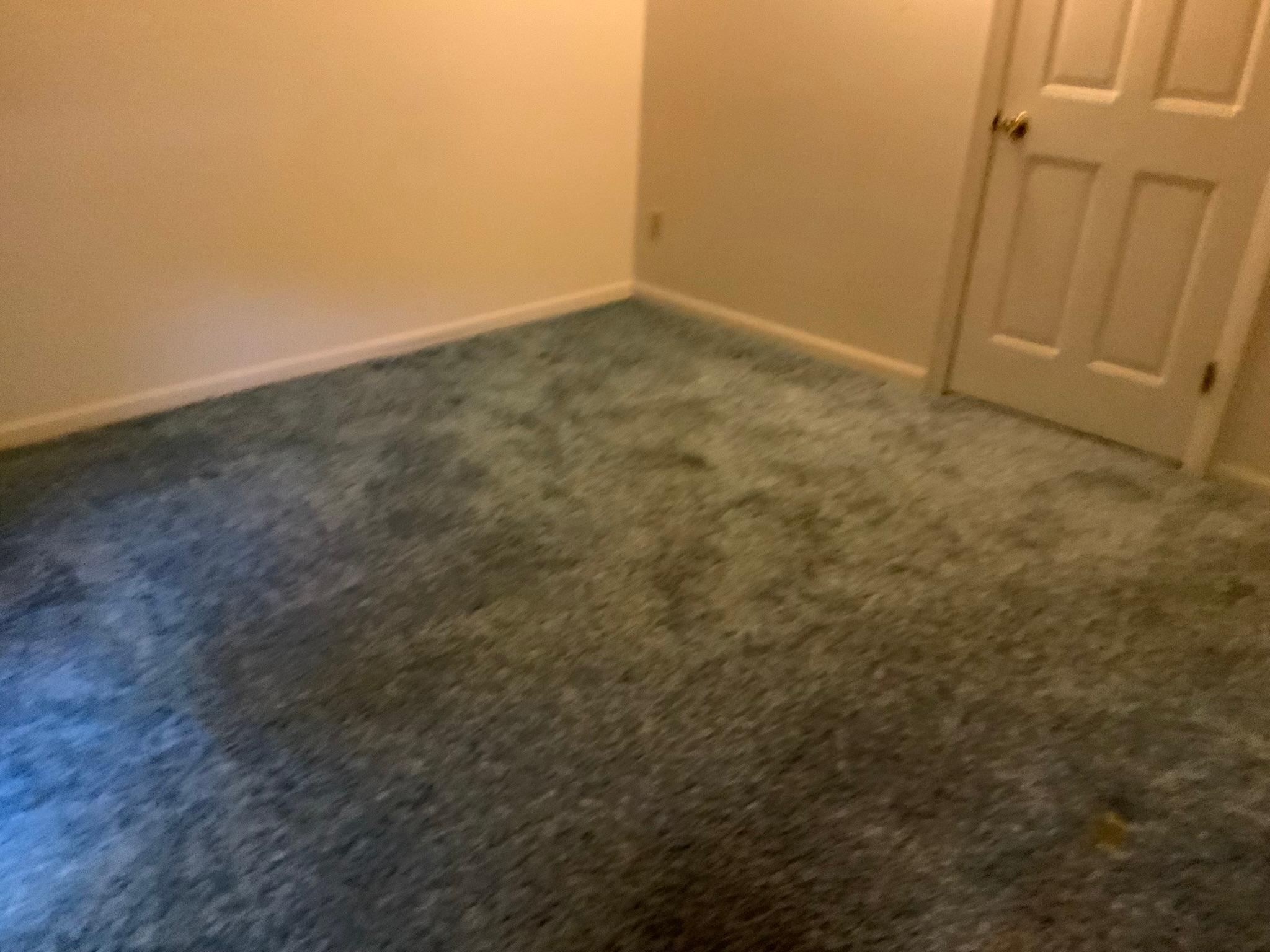 2053 Carriage Drive Southwest, Unit 2053H Rochester, MN 55902 - Photo 7 of 46