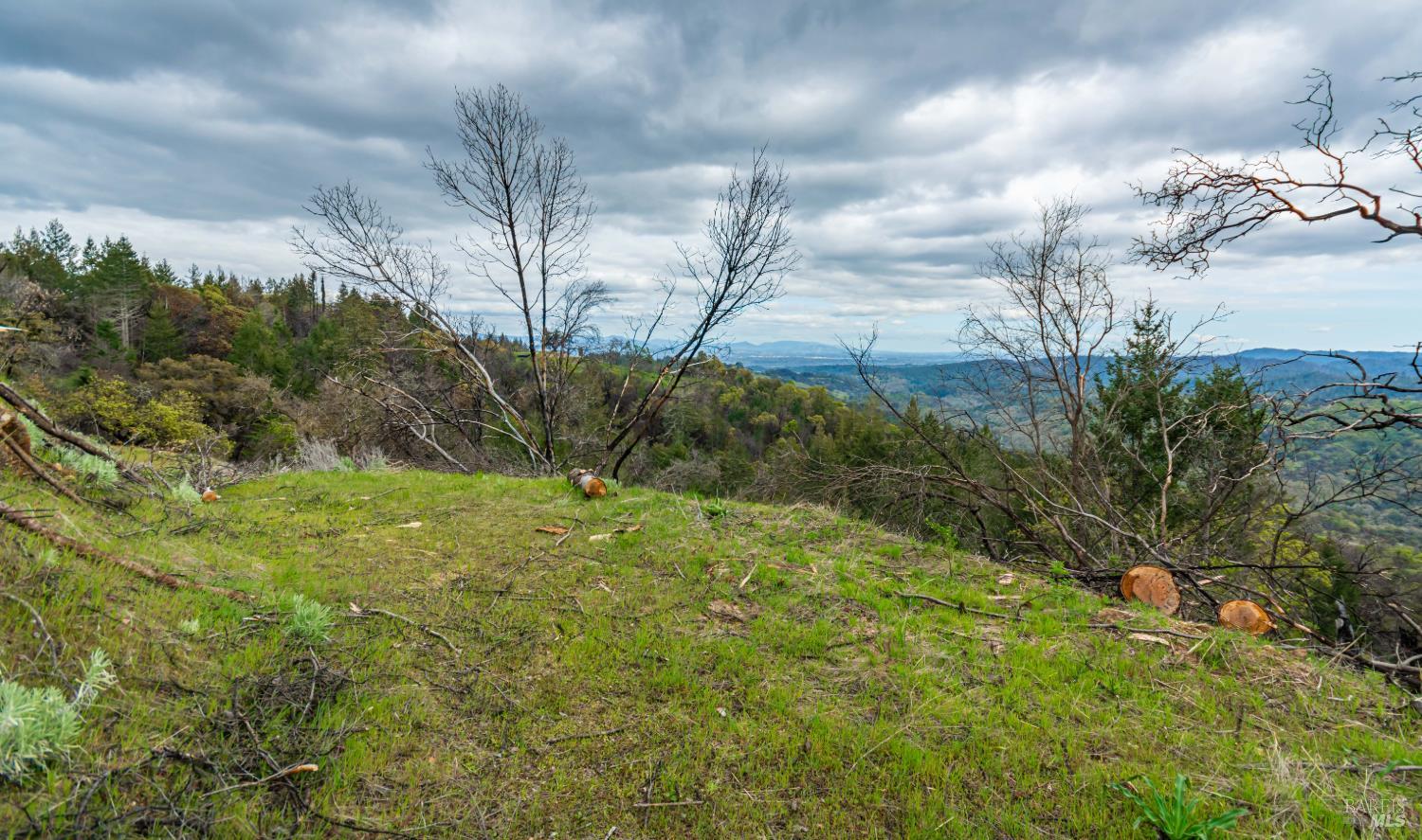 1401 Big Ridge Road Healdsburg, CA 95448 - Photo 67 of 86