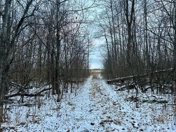 $35,000 | Tbd 160th Street Northeast, Thief River Falls, MN 56701