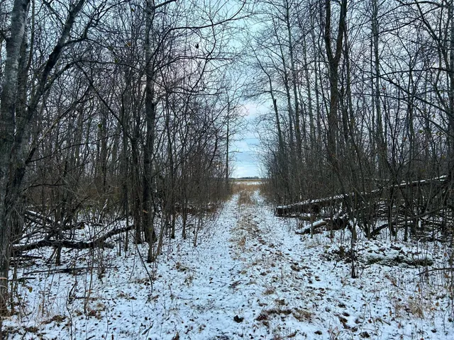 $35,000 | Tbd 160th Street Northeast, Thief River Falls, MN 56701