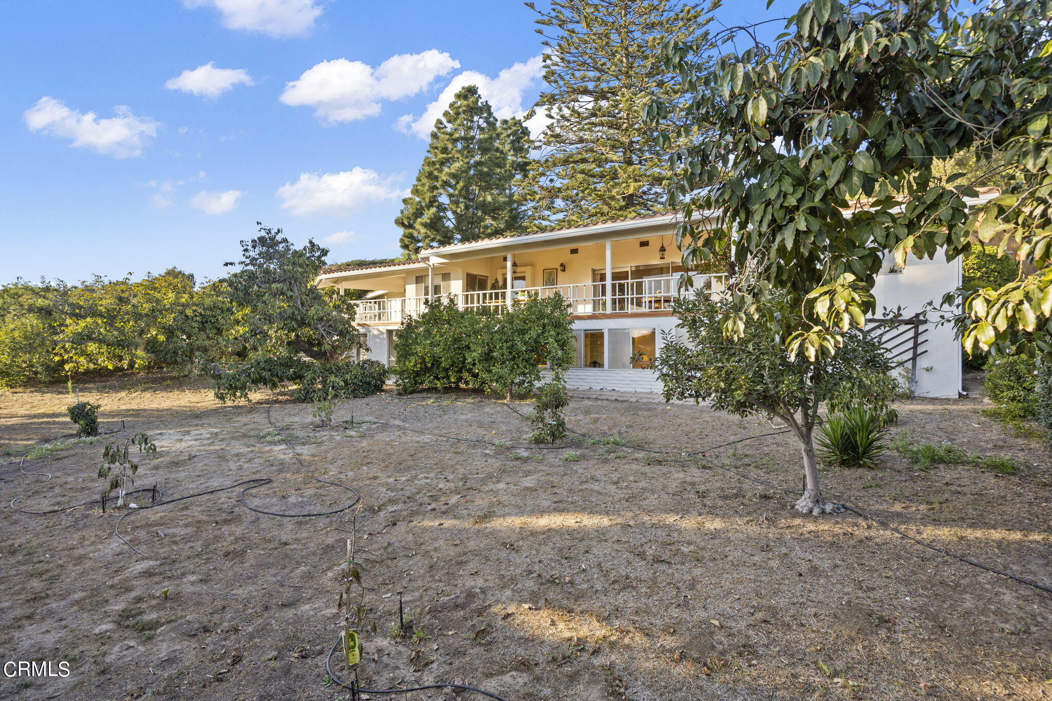 702 North Loop Drive Camarillo, CA 93010 - Photo 40 of 57 Backyard