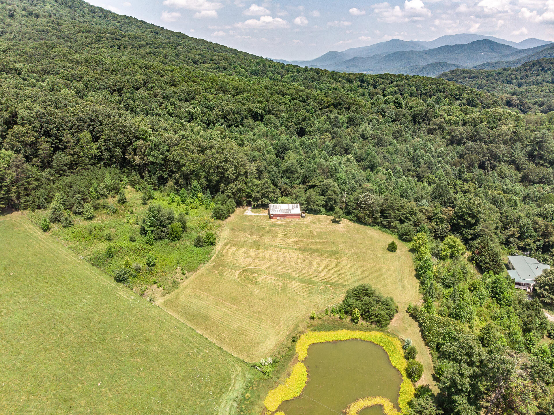 5566 Houston Valley Road Greeneville, TN 37743 - Photo 45 of 48 5566HoustonValleyG_091