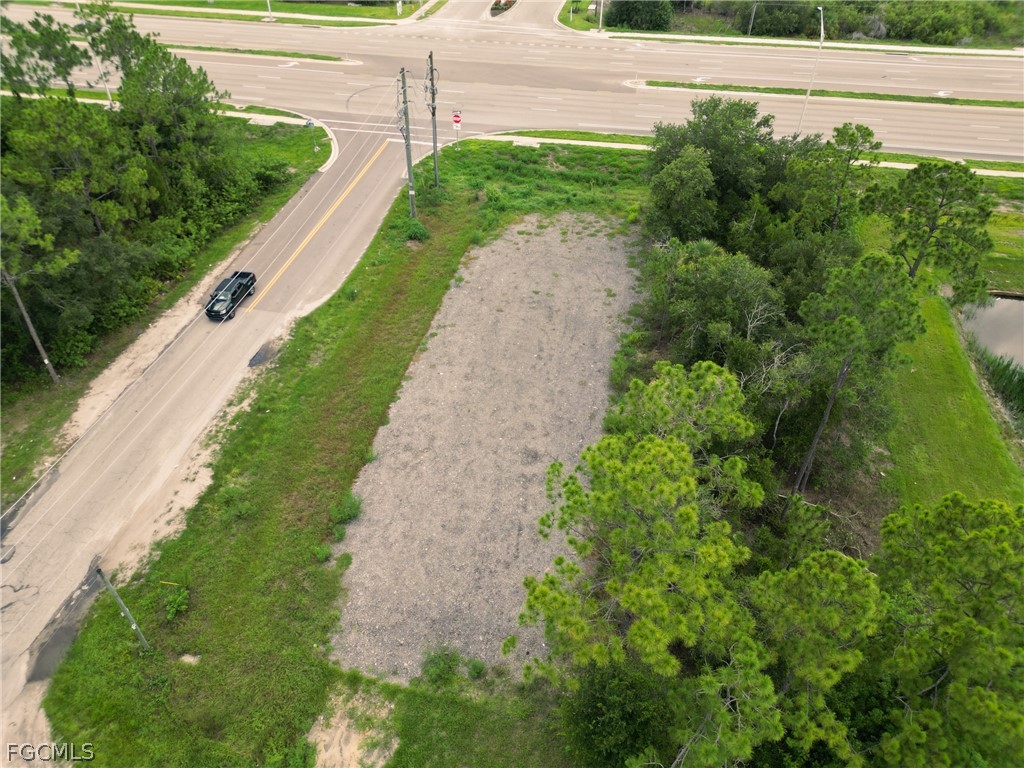 a view of a yard with potted plants