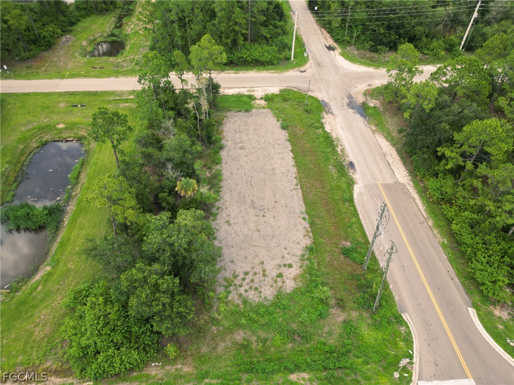 910 Meadow Road Lehigh Acres, FL 33913 - Photo 11 of 12 a view of a yard with plants