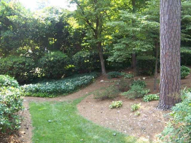 3419 Leonard Street Raleigh, NC 27607 - Photo 9 of 10