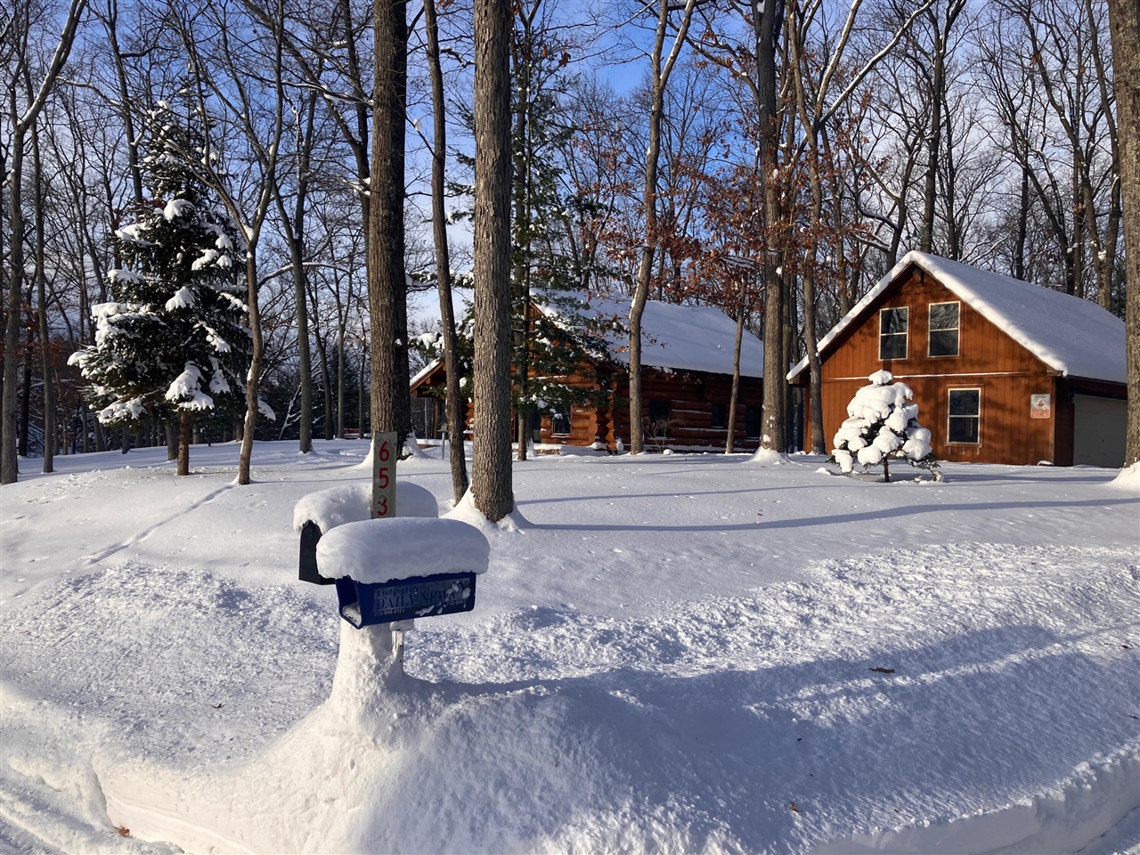653 North Jack Pine Road Fountain, MI 49410 - Photo 41 of 50