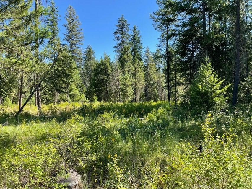 3863 Deer Creek Road Valley, WA 99181 - Photo 22 of 23