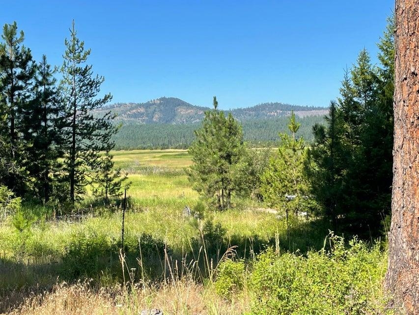 3863 Deer Creek Road Valley, WA 99181 - Photo 23 of 23