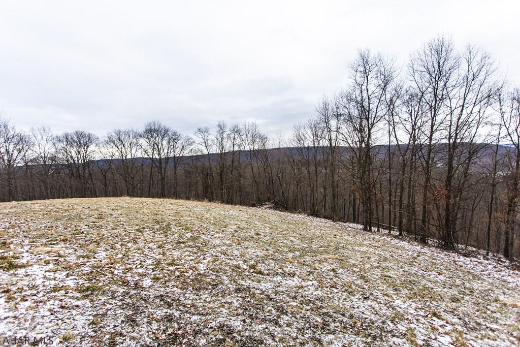 . Gypsy Camp Hollow Road Tyrone, PA 16686 - Photo 3 of 6 Gallery Image 3