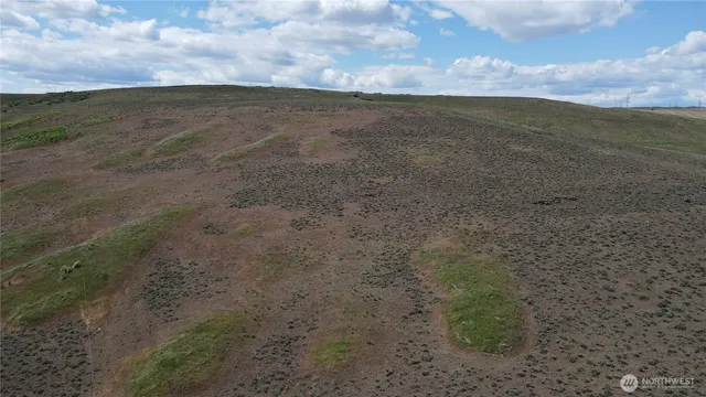 a view of an ocean beach