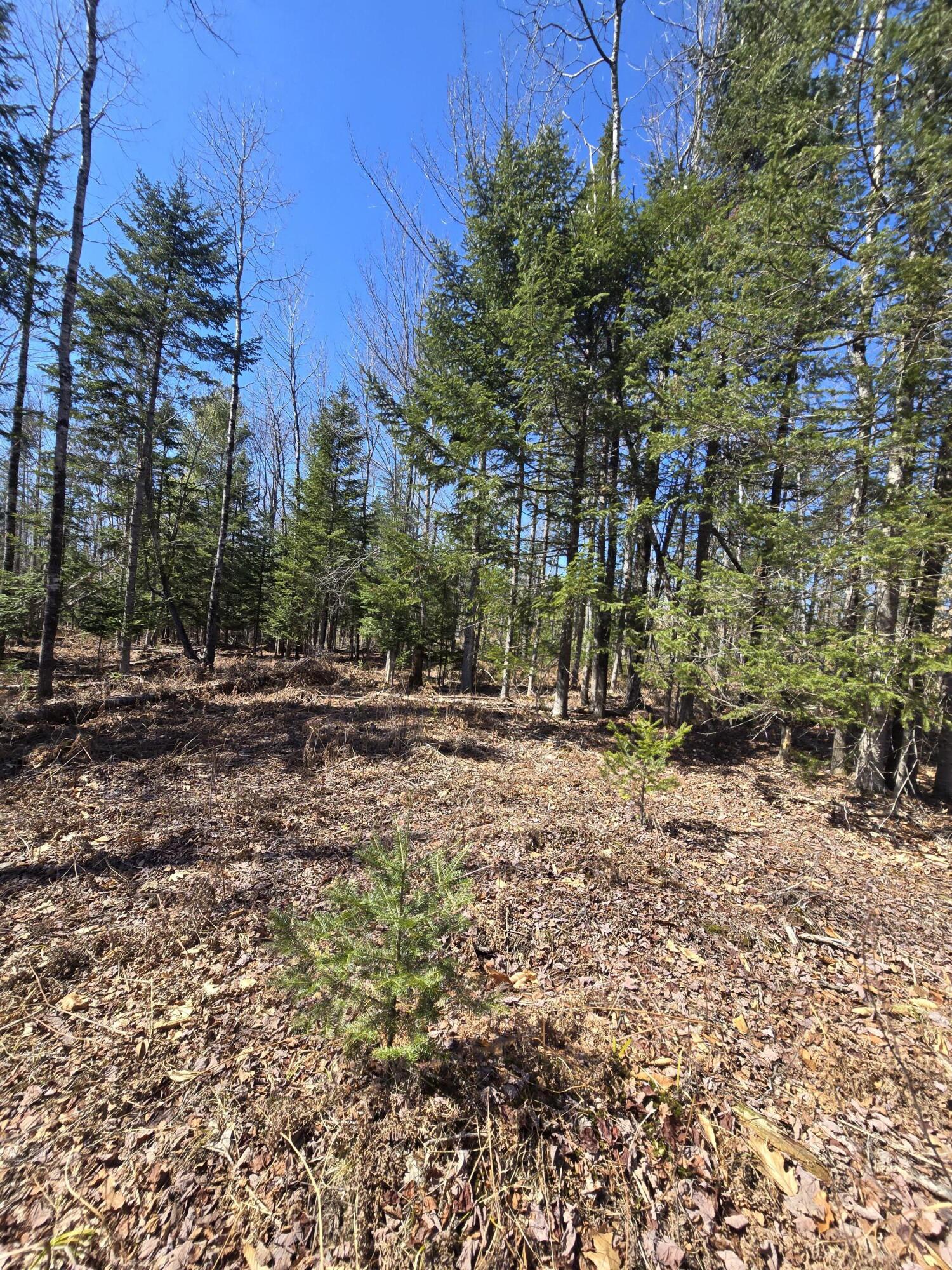 0 Chadbourne Road Harmony, ME 04942 - Photo 19 of 22 20260408_140749