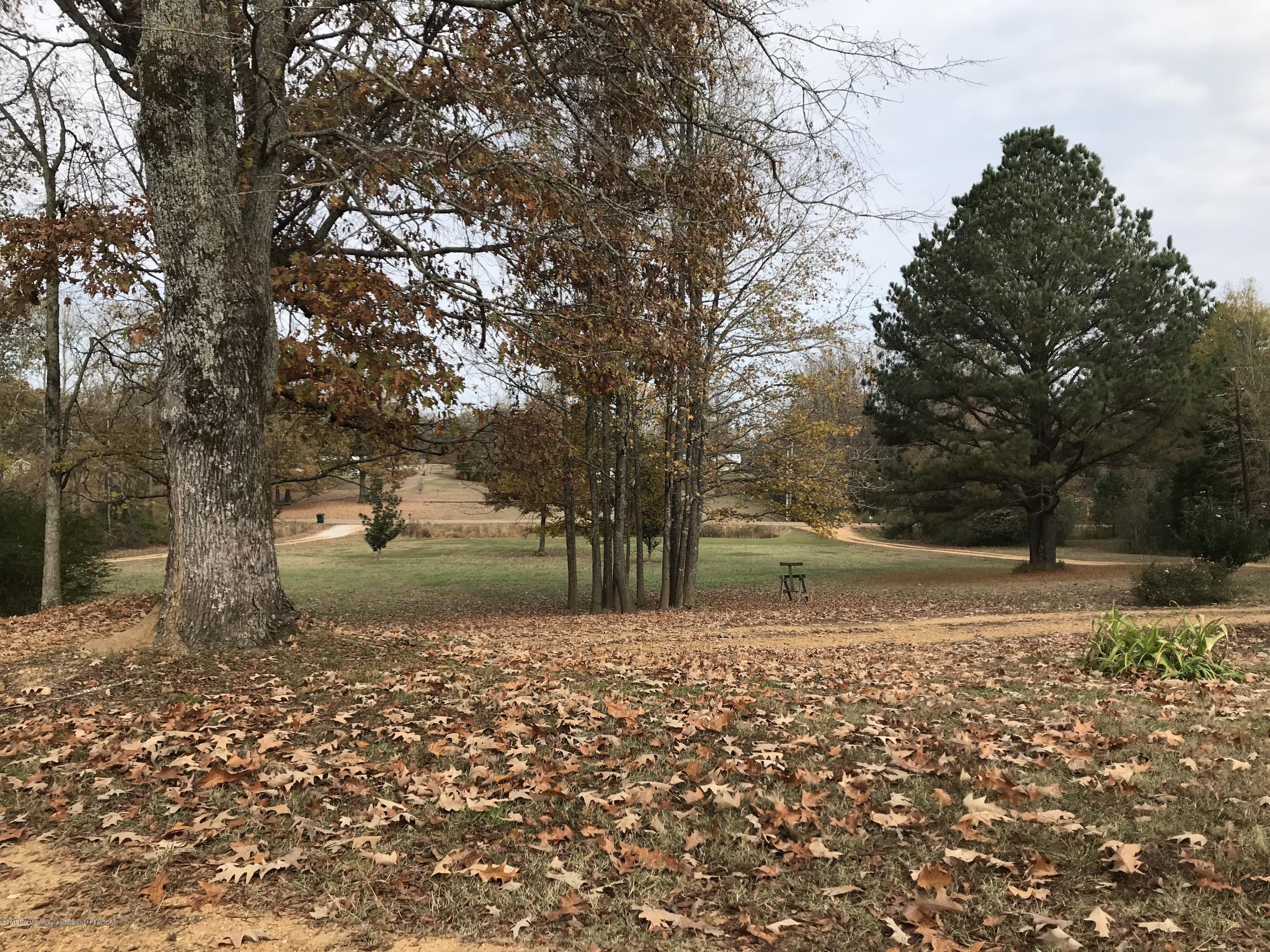 405 Strickland Road Byhalia, MS 38611 - Photo 12 of 20 IMG_3379