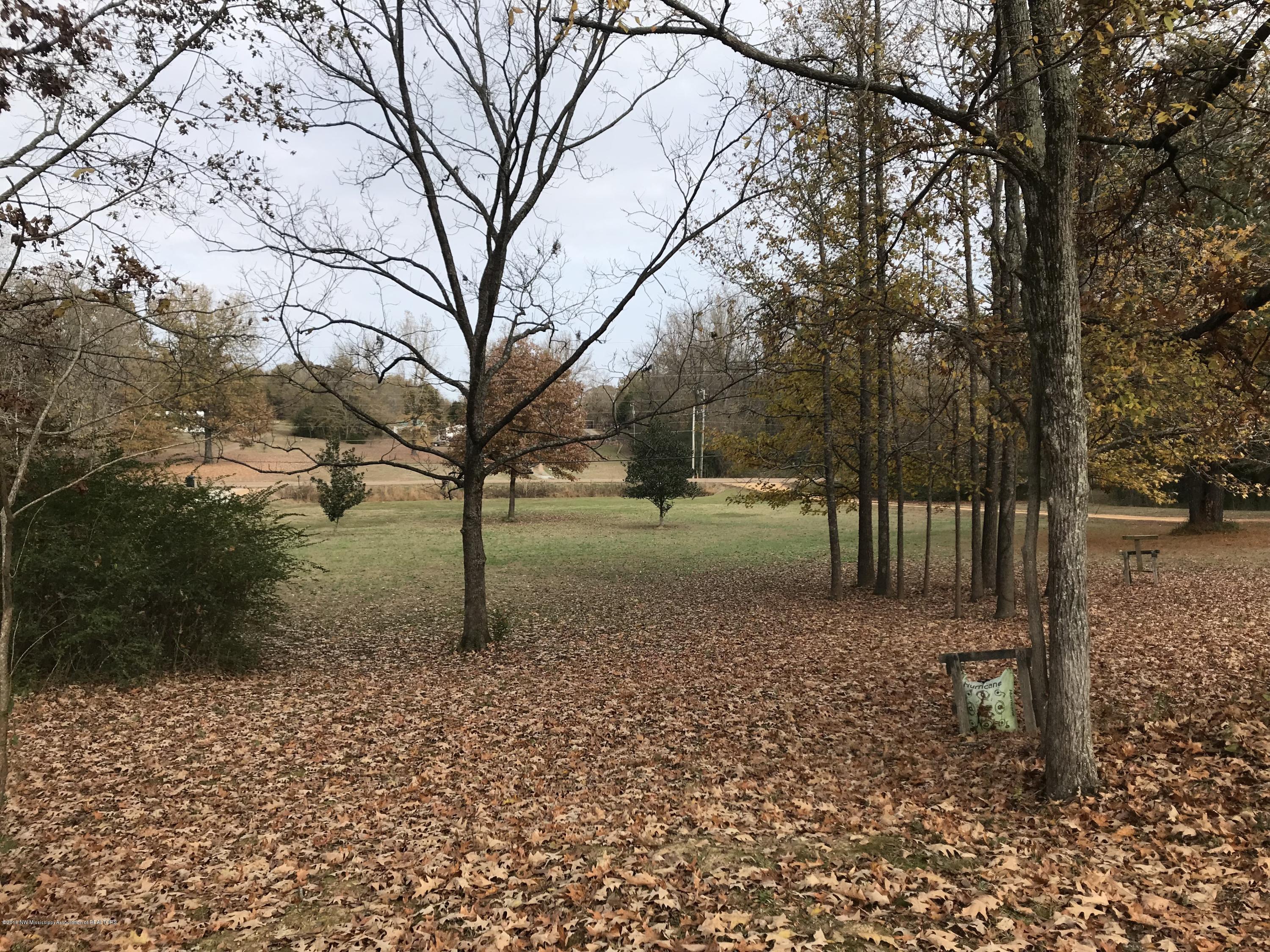 405 Strickland Road Byhalia, MS 38611 - Photo 16 of 20 IMG_1557