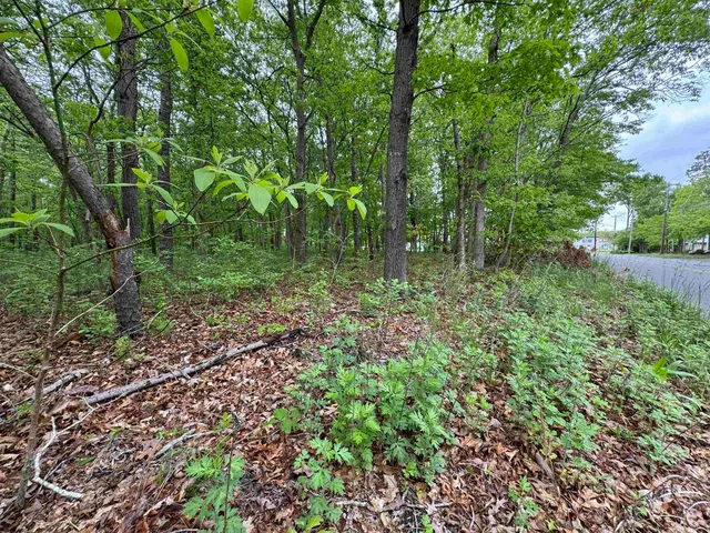 a view of outdoor space and green space