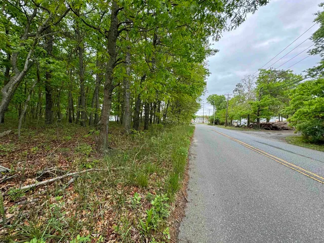 a view of a garden with a pathway