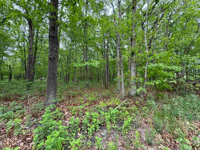 a view of outdoor space and green space