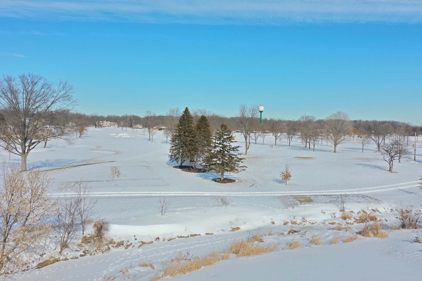 557 Aberdeen Road Frankfort, IL 60423 - Photo 5 of 34