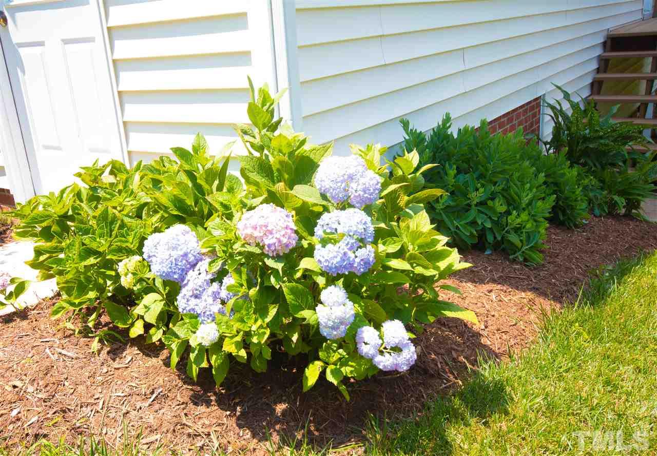 4905 Valley Ridge Drive Durham, NC 27713 - Photo 21 of 21 Gallery Image 21