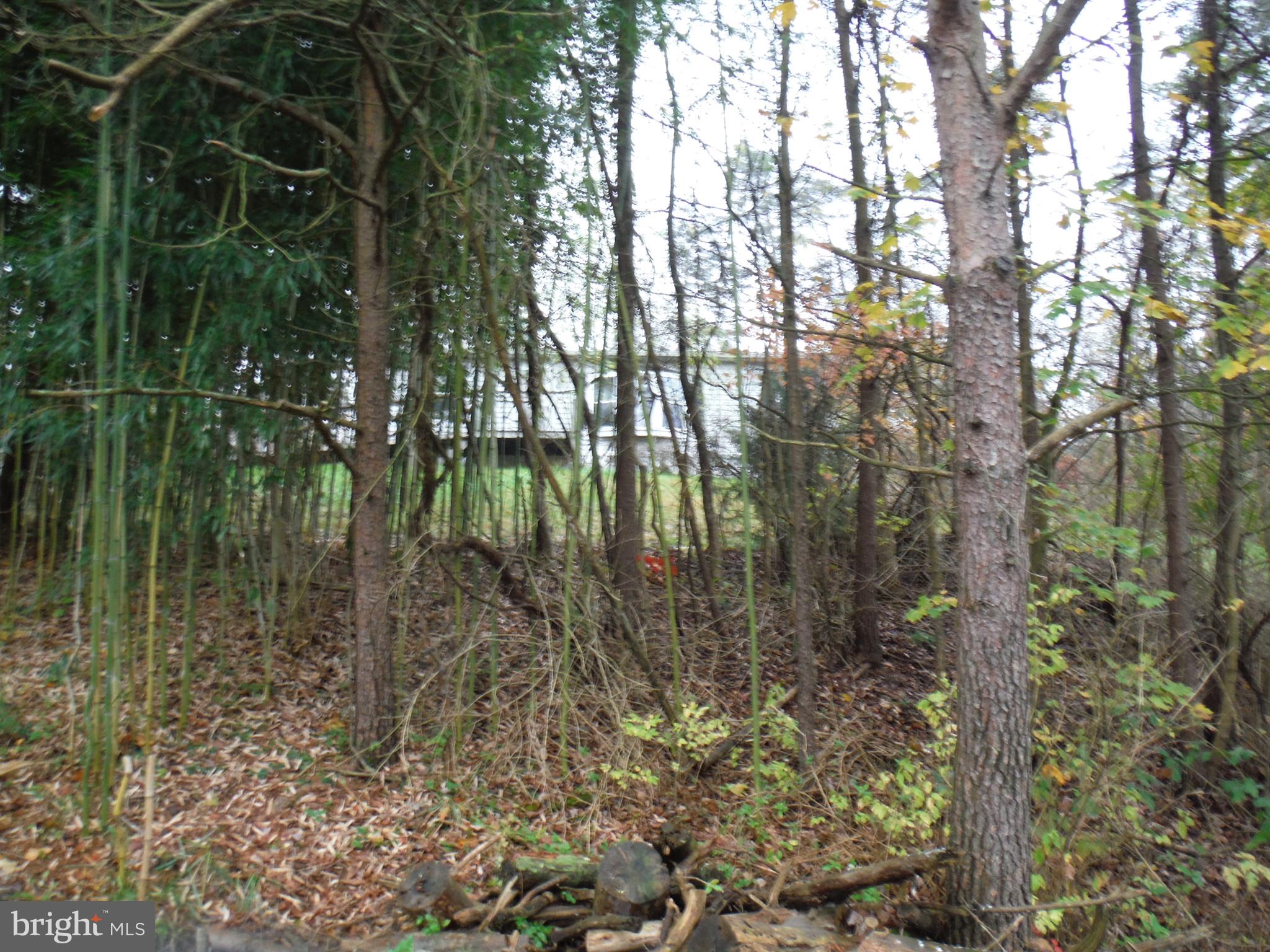 924 Pines Road Etters, PA 17319 - Photo 12 of 38 Gallery Image 12