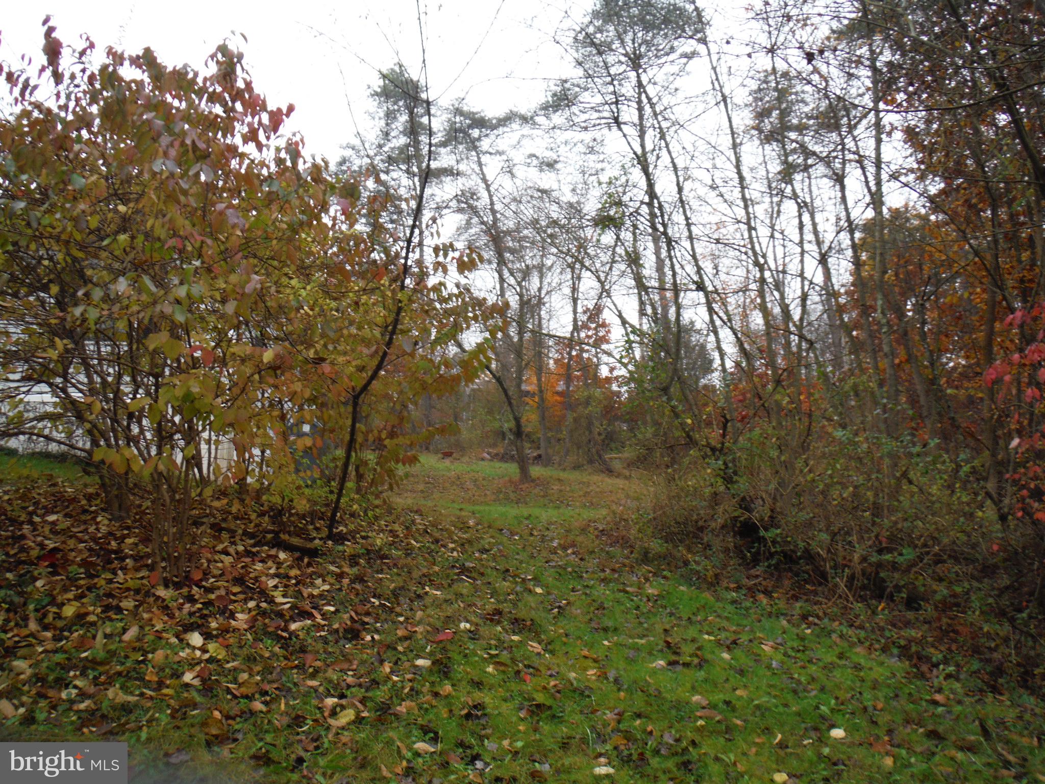 924 Pines Road Etters, PA 17319 - Photo 13 of 38 Gallery Image 13