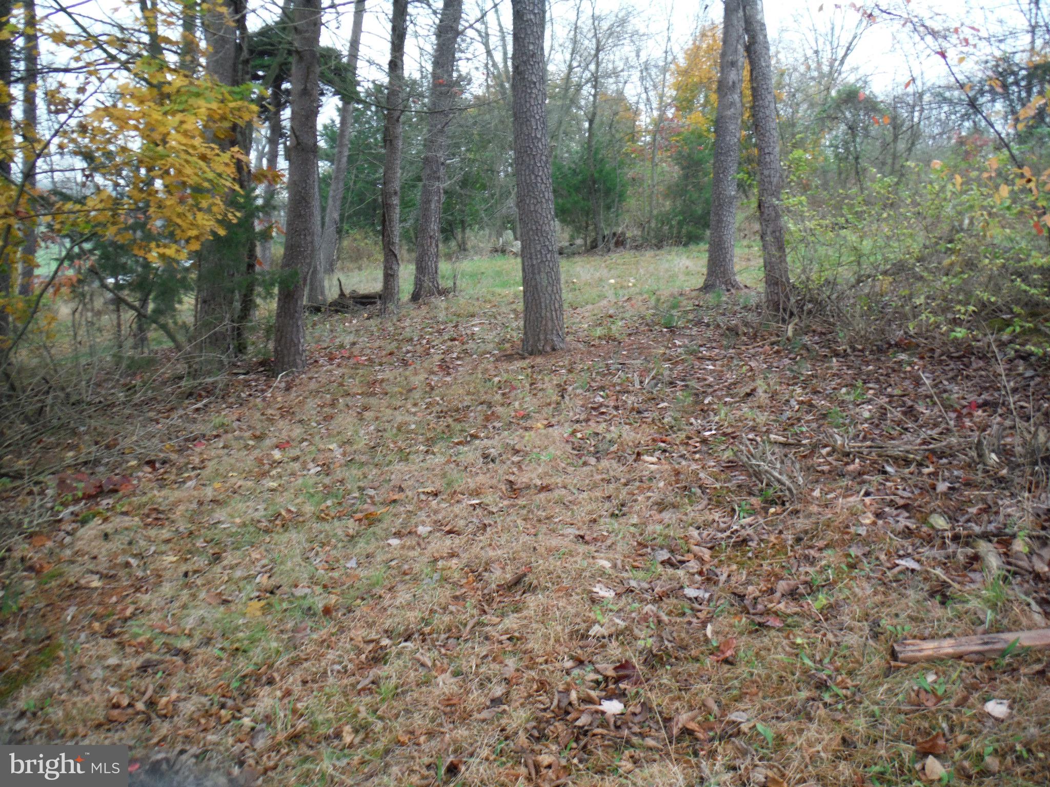 924 Pines Road Etters, PA 17319 - Photo 15 of 38 Gallery Image 15