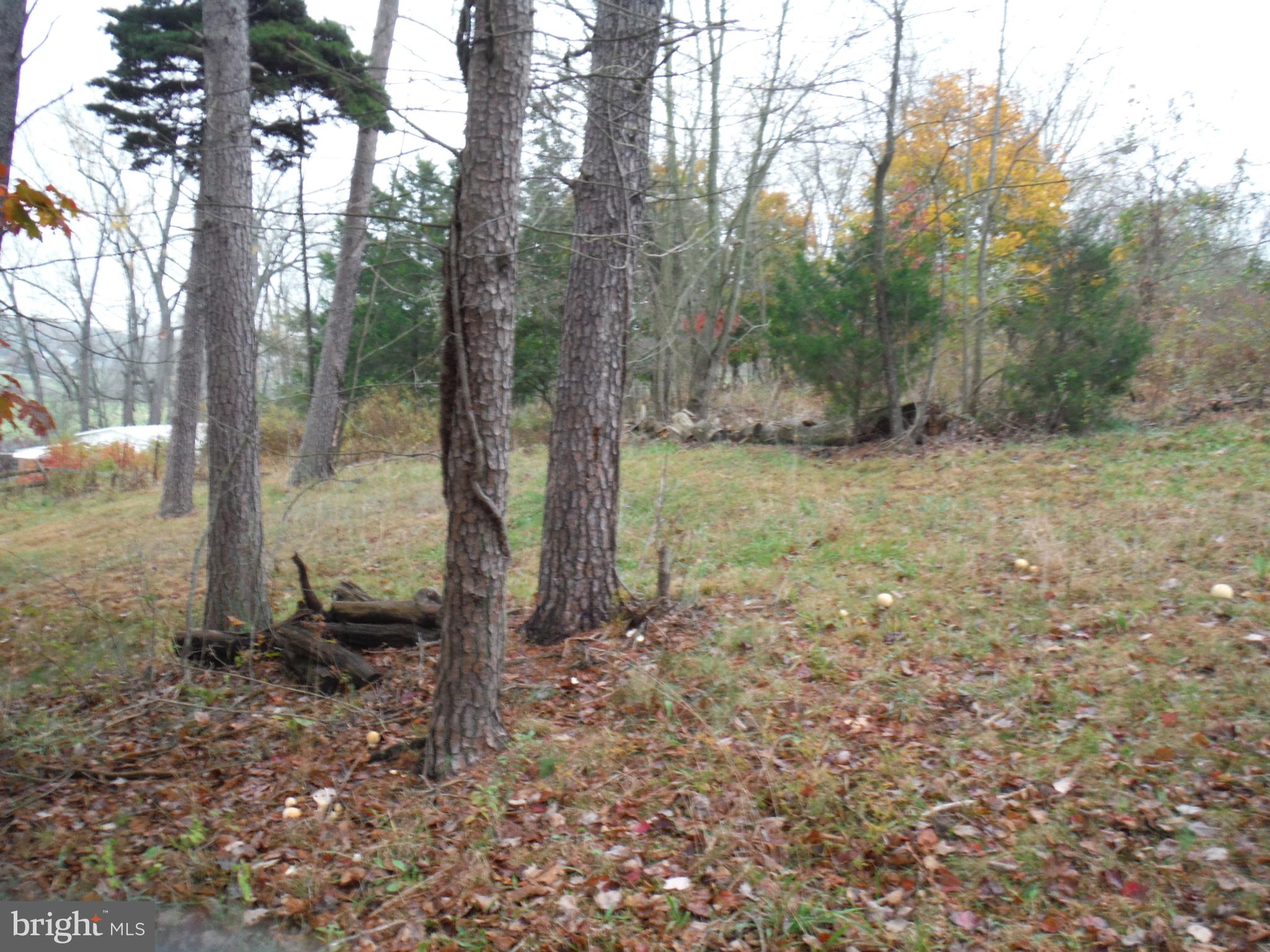 924 Pines Road Etters, PA 17319 - Photo 17 of 38 Gallery Image 17