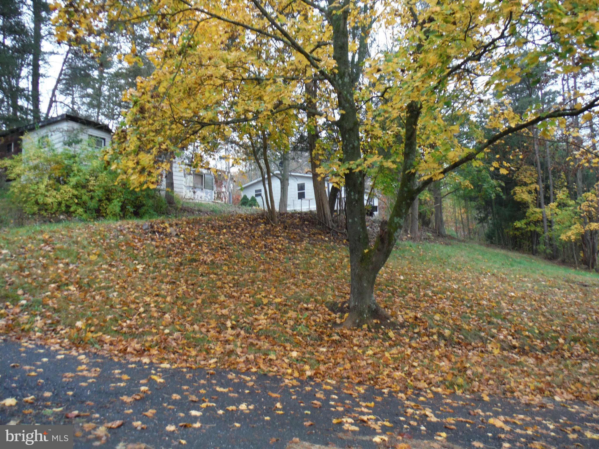 924 Pines Road Etters, PA 17319 - Photo 7 of 38 Gallery Image 7