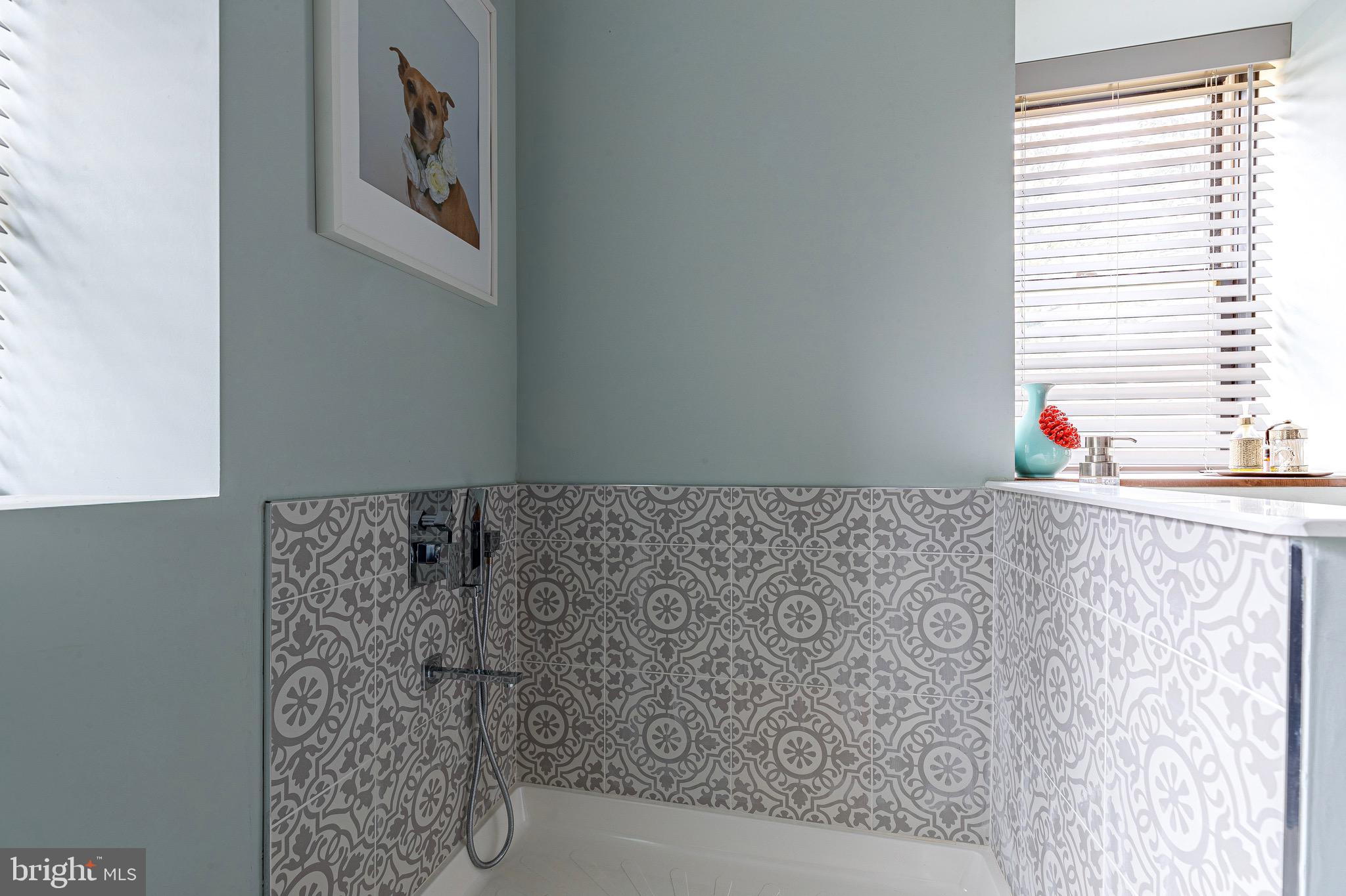 10 Pineview Drive Media, PA 19063 - Photo 33 of 38 Doggy Shower