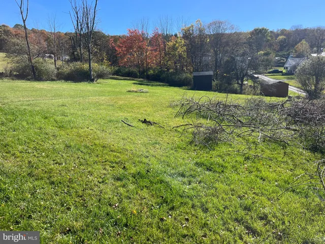 a view of a backyard