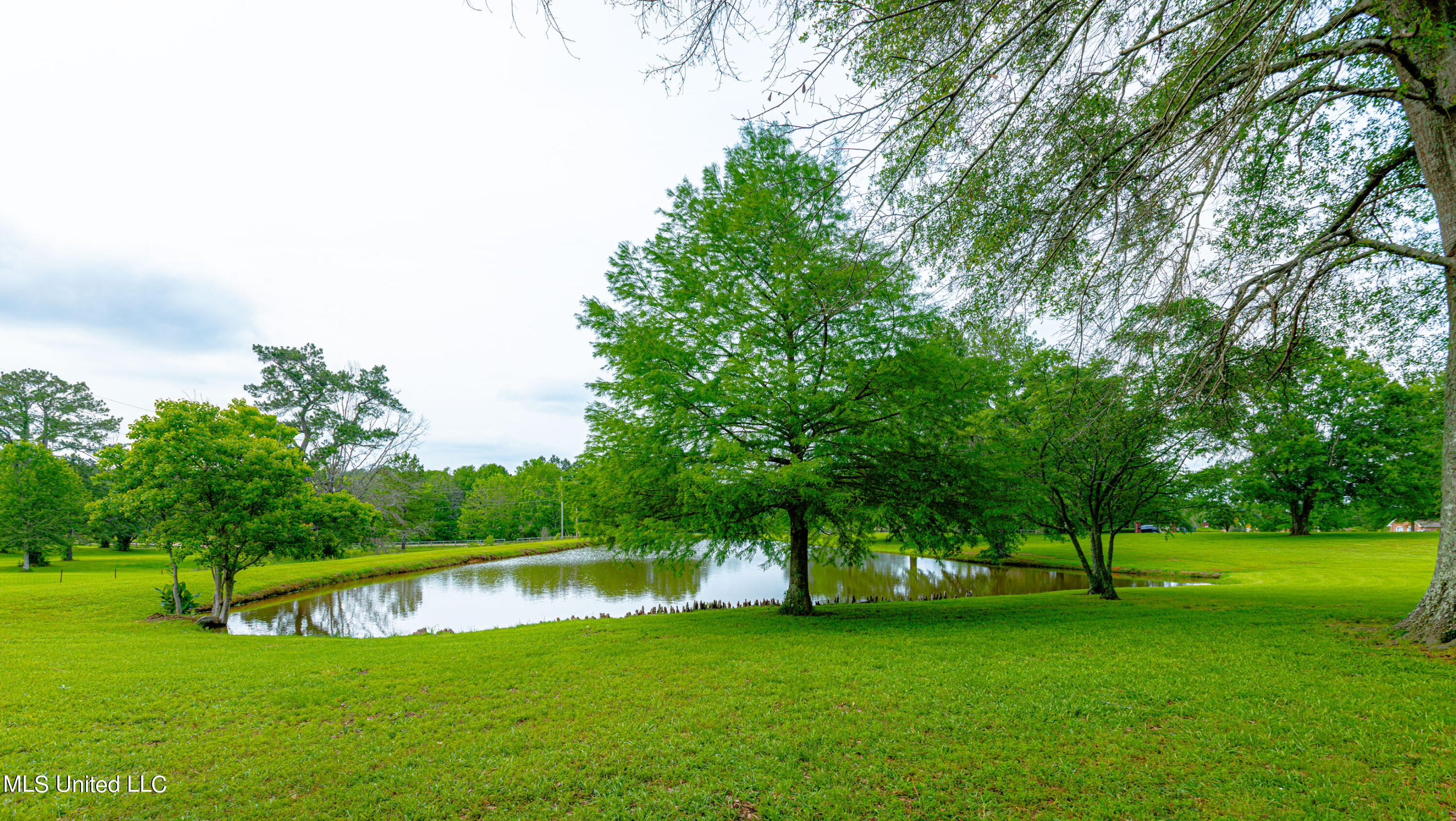 1775 West Parks Road Raymond, MS 39154 - Photo 56 of 83 1R4A9516-Enhanced-NR