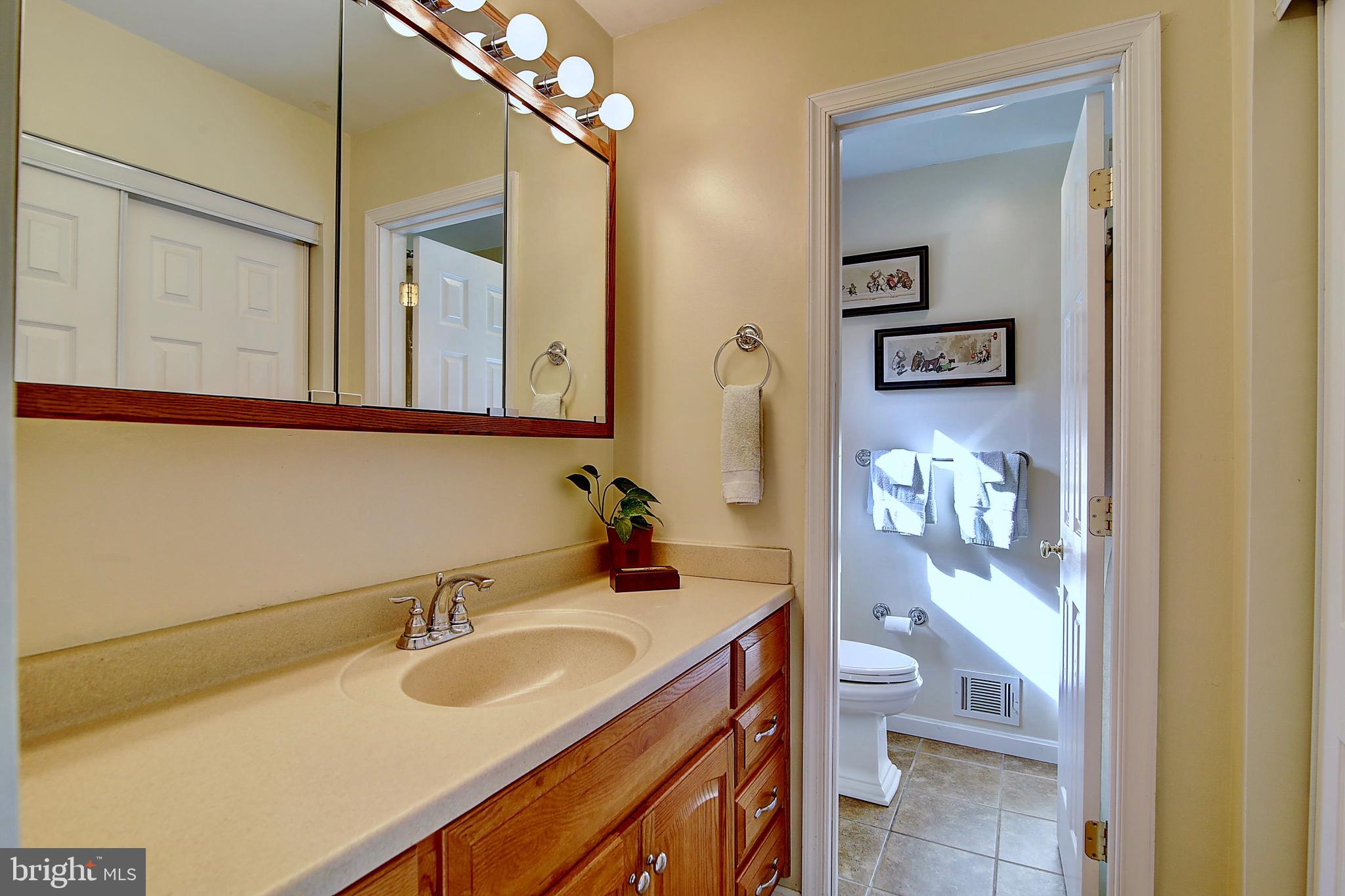 19169 Silcott Springs Road Purcellville, VA 20132 - Photo 17 of 70 Main Level Master Bath/ Dressing Room