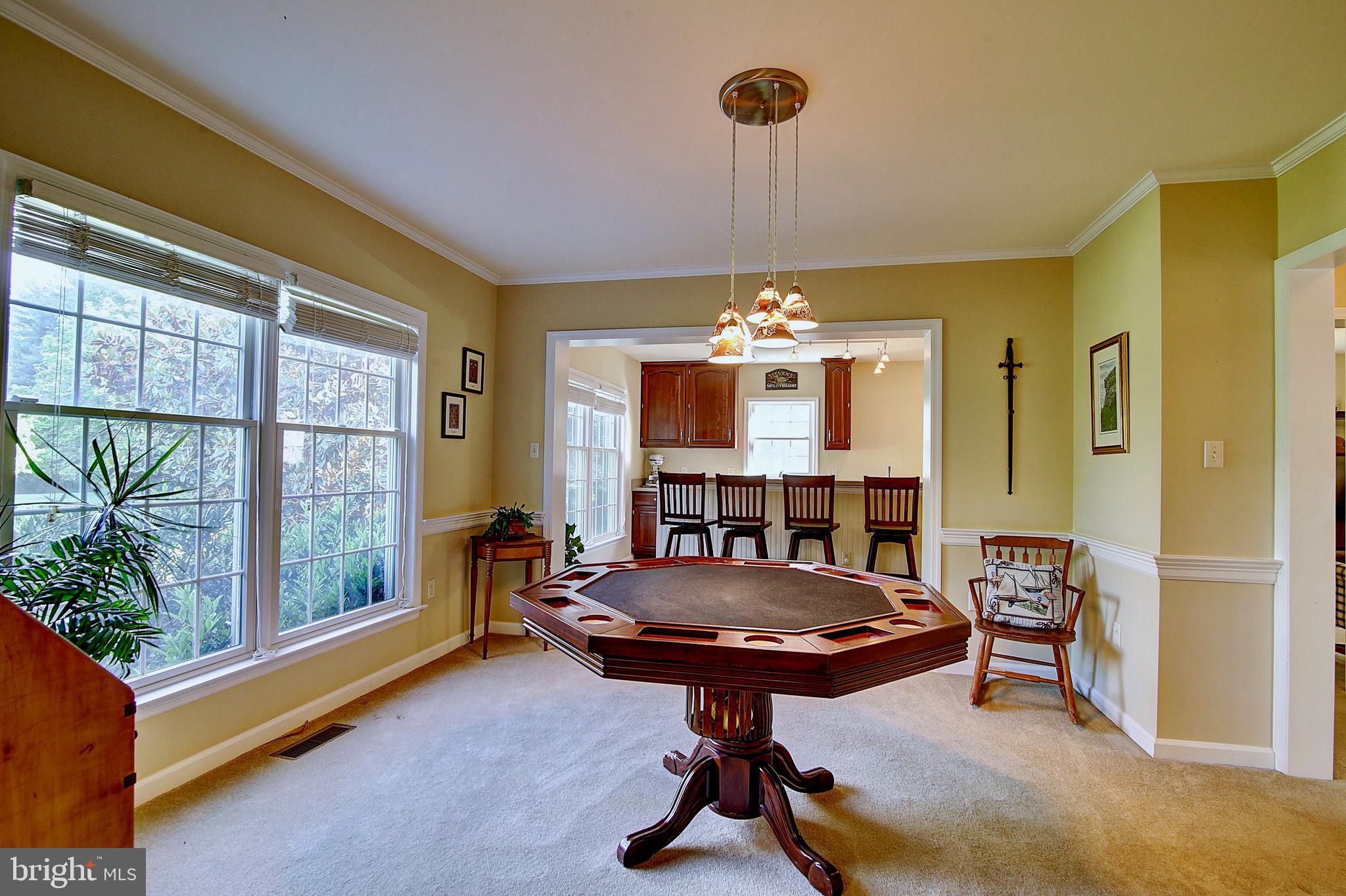19169 Silcott Springs Road Purcellville, VA 20132 - Photo 22 of 70 Main Level Game Area
